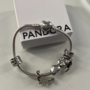 Pandora armband - Pandora armband +6 berlocker🤍låda ingår ej!