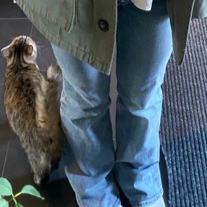 Hm jeans - Säljer mina populära låg midjade hm jeans!! Skriv privat för fler bilder och pris kan diskuteras 🥰