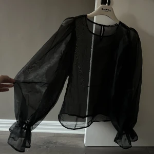 Genomskinlig blus - Från Gina tricot, storlek 34 men passar även en 36