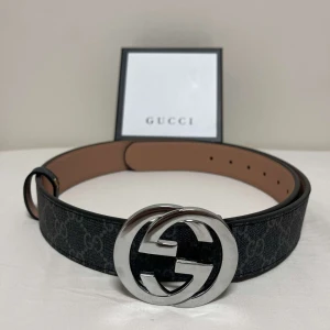 Bälte - Splitterny GG bälte. Allt i bilden ingår