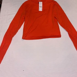 Orange långärmad topp från Gina Tricot - Säljer en enkel och snygg orange långärmad topp från Gina Tricot. Toppen har rund halsringning och är tillverkad i mjuk bomull. Perfekt att styla med jeans eller kjol för en cool vardagslook. (Prislapp kvar!!!) 