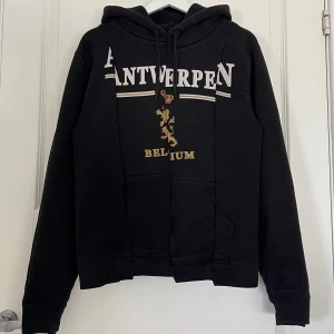 Vetements Antwerpen hoodie - Strl XS (tts). Lite urtvättad inget galet (ändå 7 år gammal). Inga andra flaws.