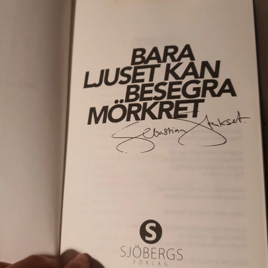 Bara ljuset kan besegra mörkret - 4