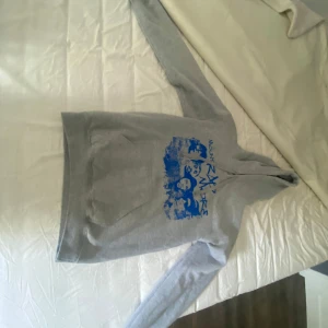 Grå hoodie med blått Mount Rapmore-tryck - Säljer en grå hoodie med blått tryck på framsidan som föreställer mountrapmore.den har använts 4 gånger och jag säljer den pga att jag inte använder den 