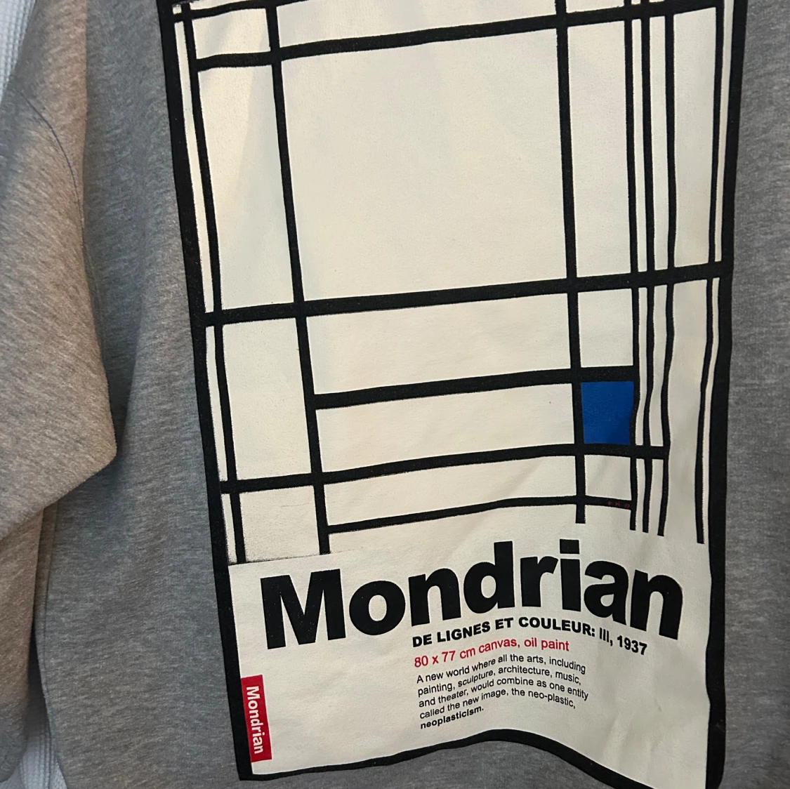 Grå sweatshirt med Mondrian-tryck från Zara - 1