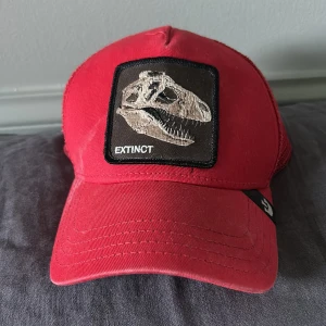 Goorin bros keps EXTINCT  - Tjenare! Säljer denna keps billigt pga en vit fläck på sidan av kepsen.     Passar bra till många outfits och står ut med sin röda färg. 