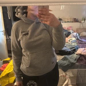 Grå hoodie från Lacoste - Säljer en grå hoodie från Lacoste med broderad logga på bröstet. Tröjan har huva och en stor magficka framtill. Perfekt för dig som gillar en enkel och stilren look. (Vet inte om den äkta)