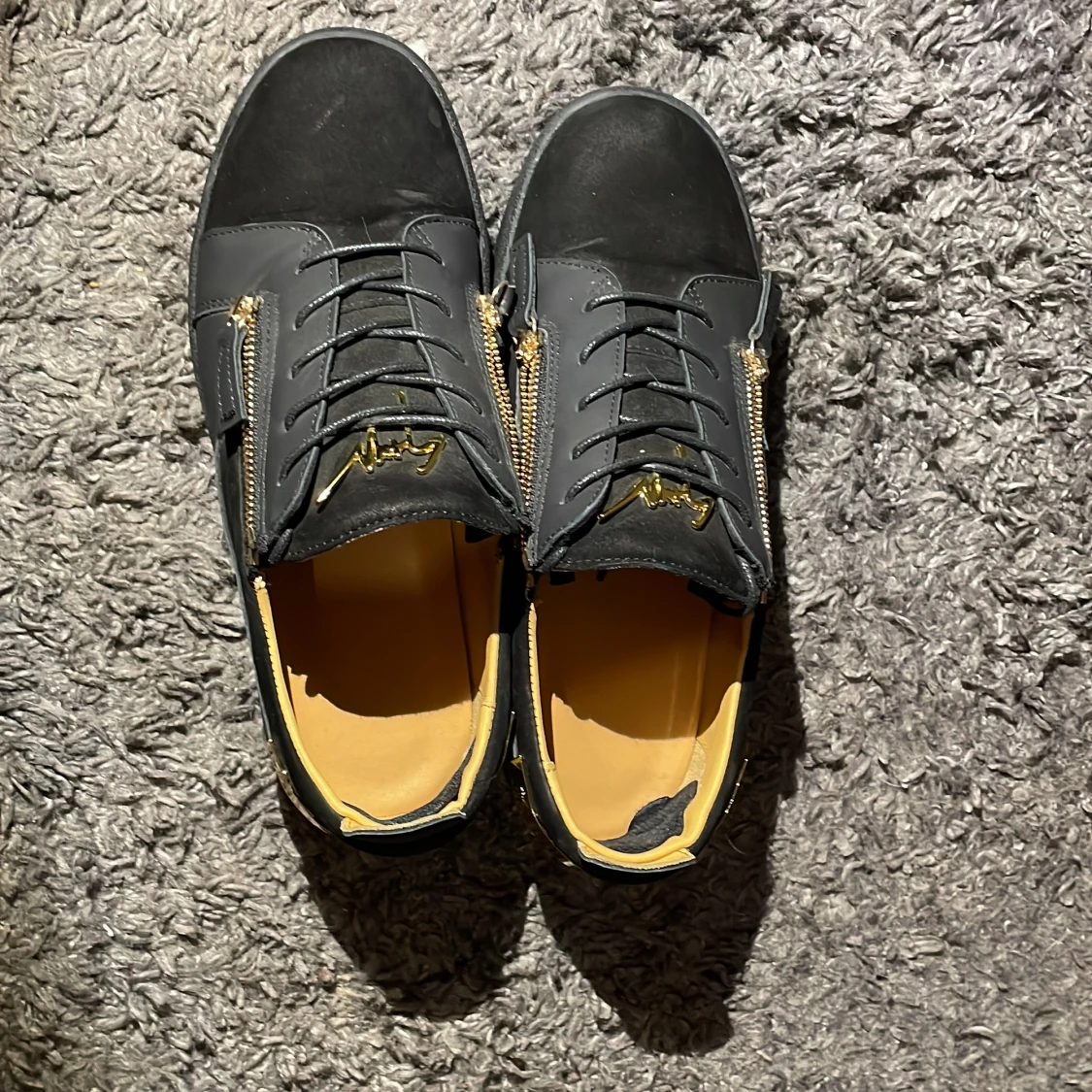 Giuseppe zanotti - 1