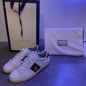 Gucci ace skor - Ett par sköna Gucci ace skor helt nytt skick vill hälst ha byten mot dom inga fel eller nått dom e helt nytt skick inte använda så mkt 