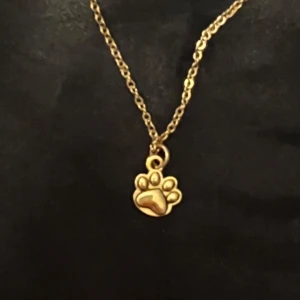 Halsband tassavtryck berlock guld imitation  - Sött halsband med ett guldfärgat tassavtryck. Berlocken är ca 0,7 x 0,6 cm. Kedjan är i guldimitation och justerbar 40-45 cm. 