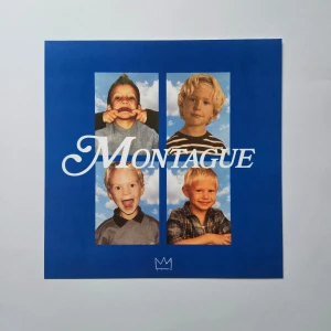 Hov1 - Albumaffisch, 31.5x31.5cm - Hov1 - Montague albumaffisch, 31.5x31.5cm  Helt ny - Passar bra i IKEAs tavelram Lomviken!  Skickas i papprulle!