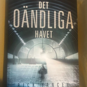 Det oändliga havet - Spännande science fiction-roman på svenska av Rick Yancey. Boken har ett futuristiskt omslag med blå och grå toner, där en person står i en tunnel med ljusstrålar. Detta är en fristående fortsättning på Den femte vågen.