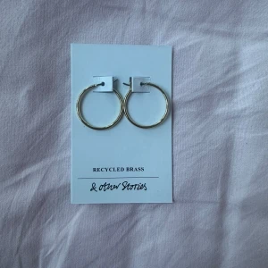 Örhängen - Ett par jätte fina örhängen från & other stories, helt nya så aldrig använda! Säljer på grund av att jag råkade beställa dubbla par❤️