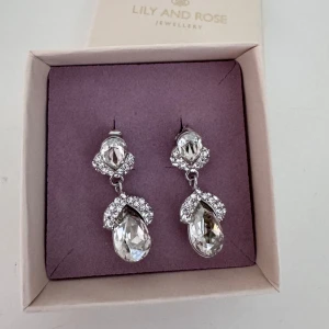 Glittriga örhängen från Lily and Rose - Snygga droppformade örhängen från Lily and Rose i silverfärg med stora, gnistrande stenar och mindre kristaller runtom. Kommer i originalask. Använd 1-2 ggr.