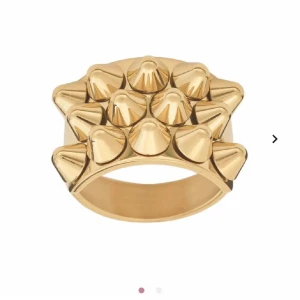 Guldig statementring från Edblad - Cool statementring från Edblad i guldtonad metall med unikt designade konformade nitar på ovansidan. Ringen har en bred form och ger en edgy vibe, perfekt för dig som vill sticka ut med accessoarerna. 💕 säljer då den är förstor