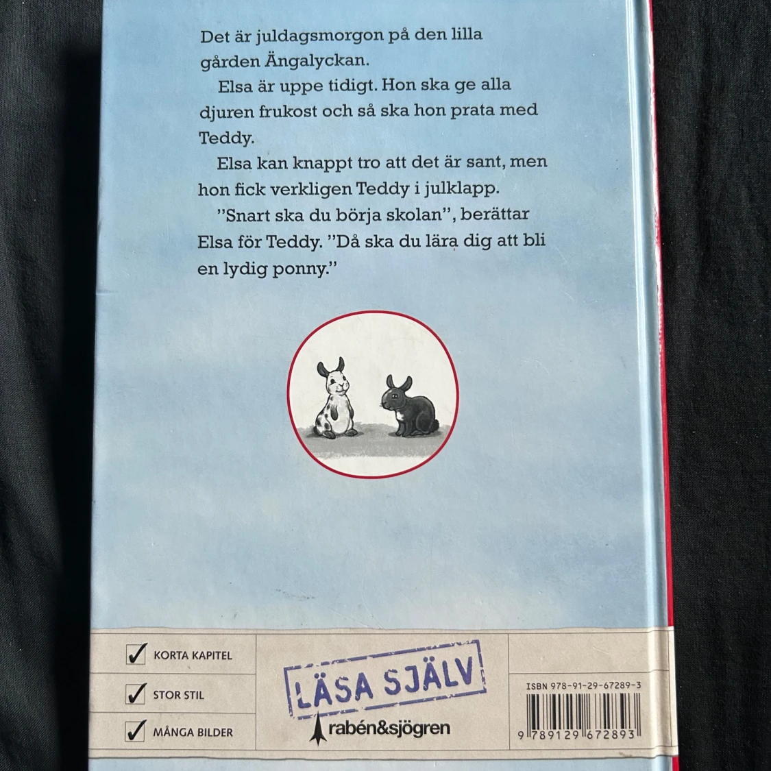 Teddy börjar skolan - 1