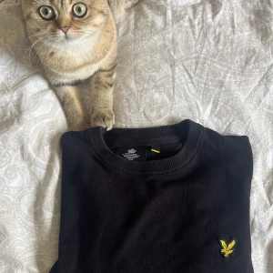 Svart långärmad tröja Lyle & Scott - Svart långärmad tröja från Lyle & Scott med klassisk rund hals och gul broderad logga på bröstet. Tröjan är i bomull och har en normal passform, perfekt till jeans eller chinos. Enkel och stilren design som funkar året runt.