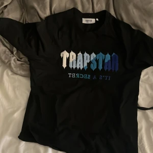 Trapstar svart t-shirt med blått tryck - Svart t-shirt från Trapstar i storlek L med stort gradient-tryck i vitt, blått och turkost på bröstet där det står 'TRAPSTAR' och 'IT'S A SECRET'. Klassisk passform och rund hals. Perfekt för dig som gillar streetwear och vill sticka ut.