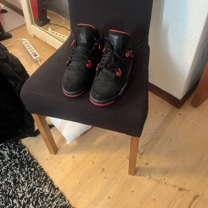 Jordan 4 Raptors - Pris kan diskuteras 