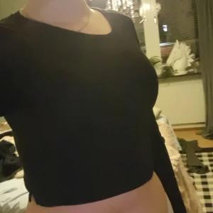 Svart croppad topp från H&M Divided - Säljer en svart croppad topp från H&M Divided. Toppen har en enkel design med långa ärmar och en tight passform. Perfekt för att matcha med höga jeans eller kjol.