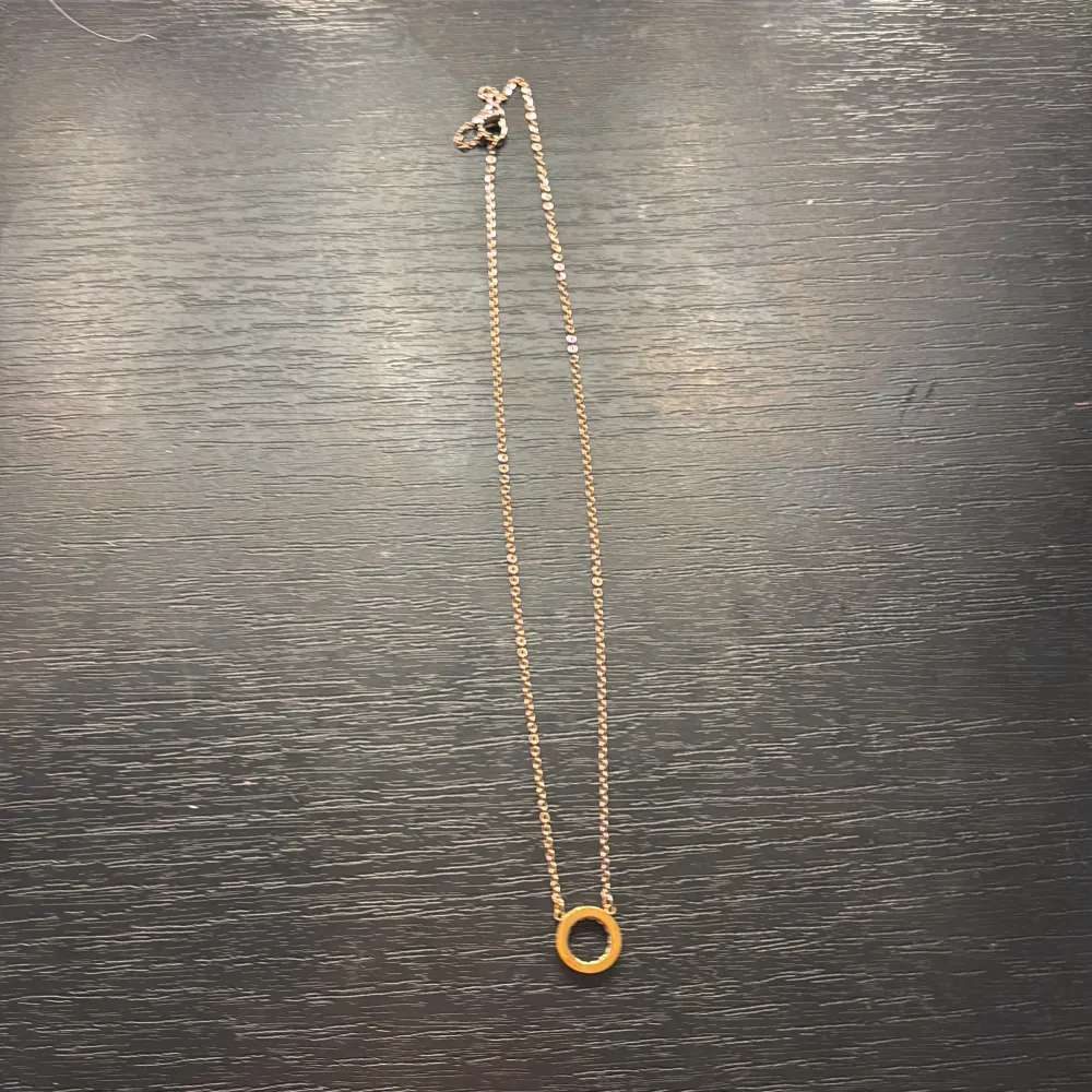 Elegant guldhalsband med en enkel cirkelberlock. Perfekt för att lägga till en subtil touch av stil till din outfit. Kedjan är tunn och smidig, vilket gör den bekväm att bära hela dagen.. Asusteet.