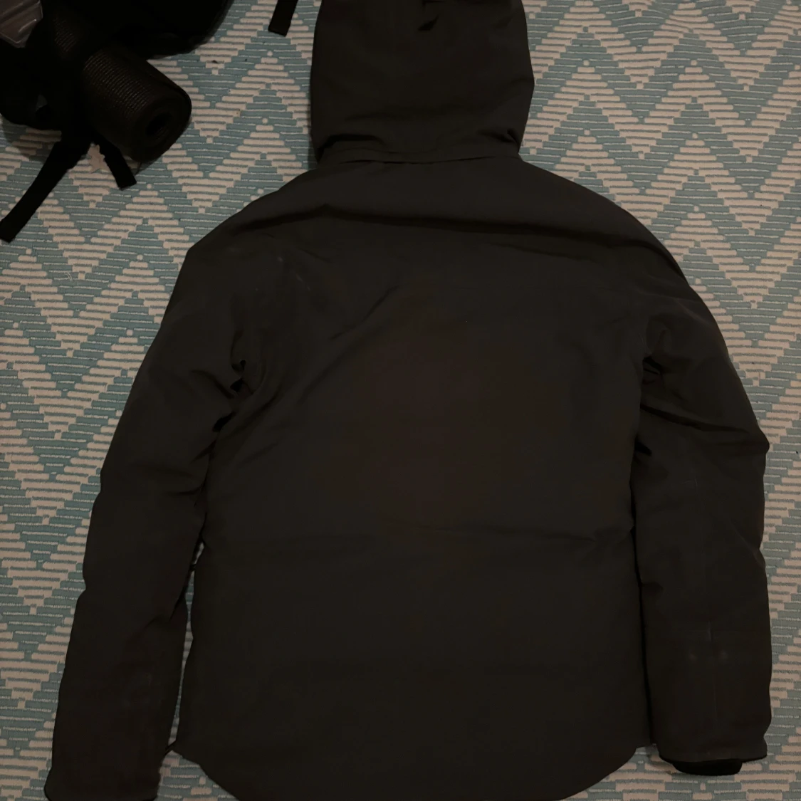 Canada goose maitland  - 1