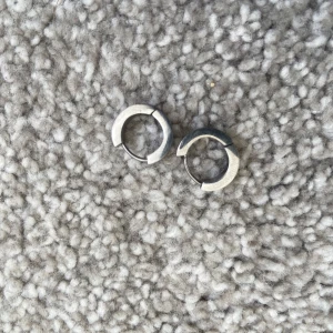 Silverfärgade örhängen - Säljer ett par stilrena silverfärgade örhängen i en enkel och modern design. Perfekta för att ge en subtil touch till din outfit. Passar både till vardag och fest.