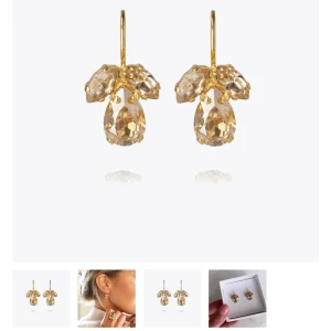 Carolina svedom örhängen  - Super fina örhängen från Carolina svedom i guld, endast använda fåtal gånger! Nypris 695 kr!