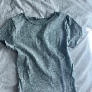 Grå basic t-shirt från Brandy Melville - En enkel och stilren grå t-shirt från Brandy Melville. T-shirten har rund halsringning och korta ärmar. Tillverkad i mjuk bomullsmix som känns skön mot huden. Perfekt att matcha med jeans eller kjol för en clean look.