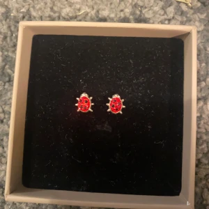 Söta nyckelpigeörhängen 🐞❤️🌹 - Söta nyckelpigeörhängen i silver, använd ett fåtal gånger, de är som nya!💞 