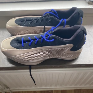 AE 1 low  - Basket skor, andvända 4 gånger. Bra skick och med extra skosnören 