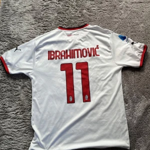 Vit AC Milan fotbollströja från Puma - Säljer en vit AC Milan fotbollströja från Puma med röda detaljer och ränder. Tröjan har korta ärmar och klubbens emblem. Storlek L passar Xl med