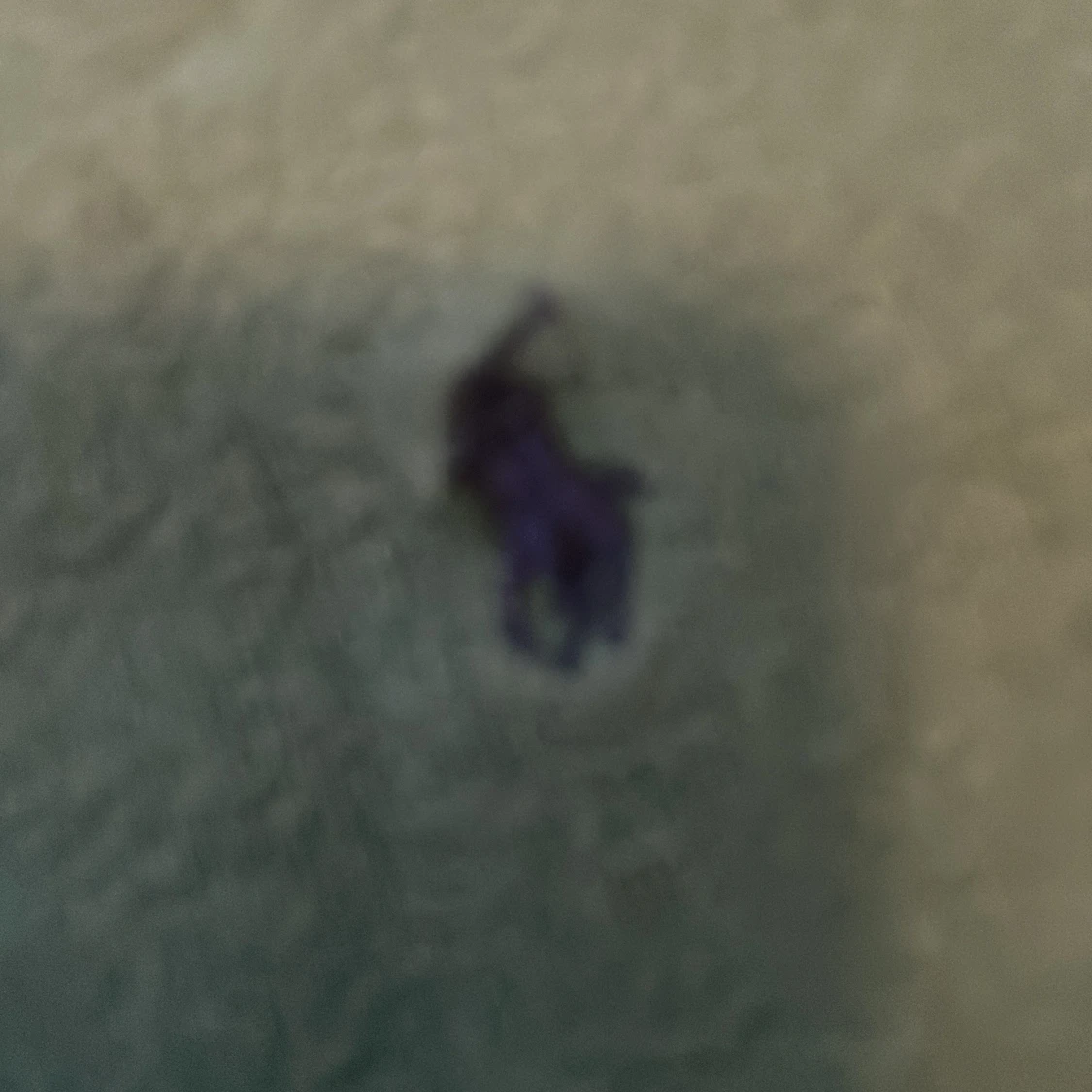 Ralp lauren sweatshirt  - 1