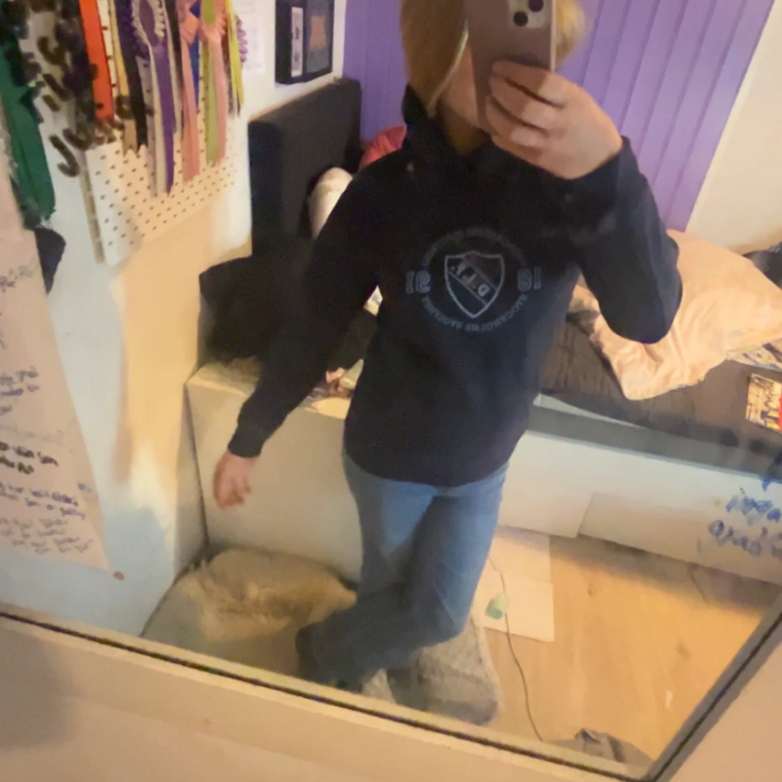 Djurgårdens if hoodie 