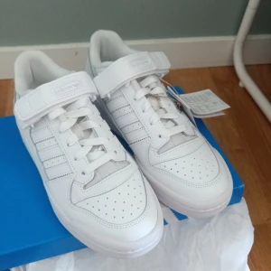 Helt nya Adidas forum low 00's - Helt nya skor från adidas, säljer då jag råkade beställa två par och de går inte att returnera. Storlek 37 1/3 men passar också 38, nypris runt 1000 kr