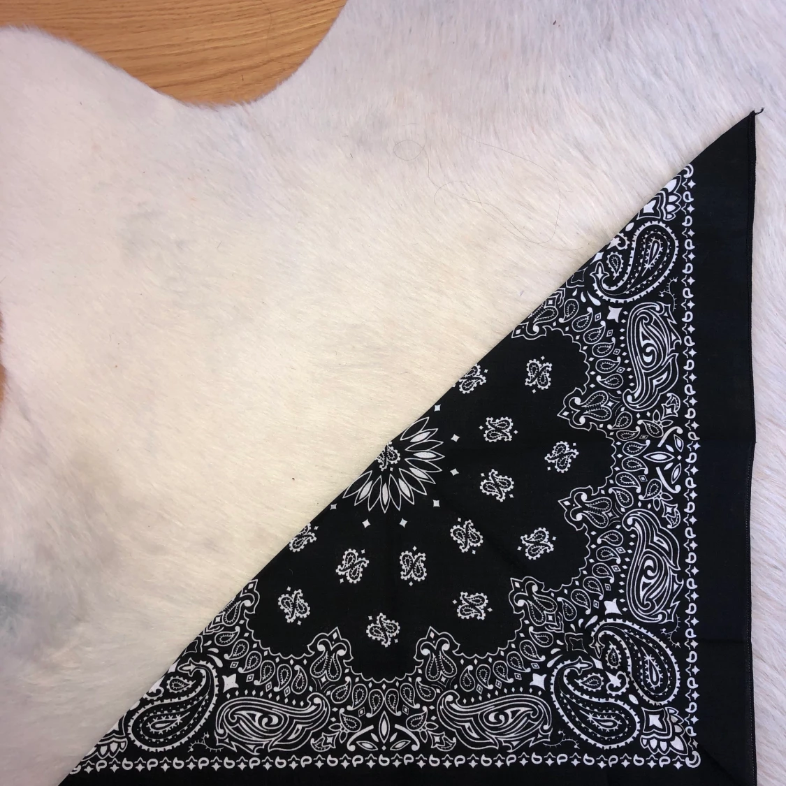 Svart Bandana från Scout - 90