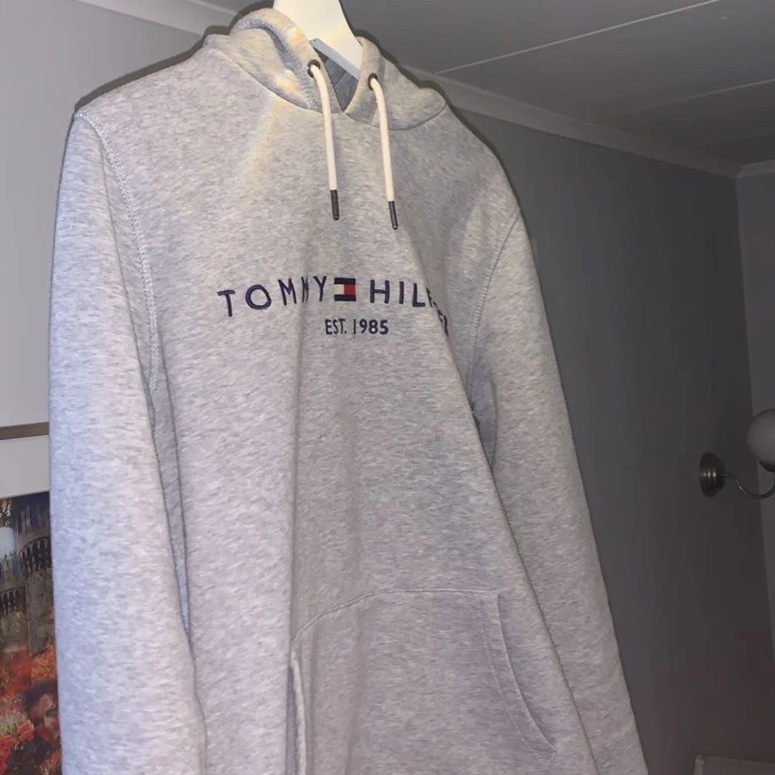 Tommy Hilfiger Hoodie