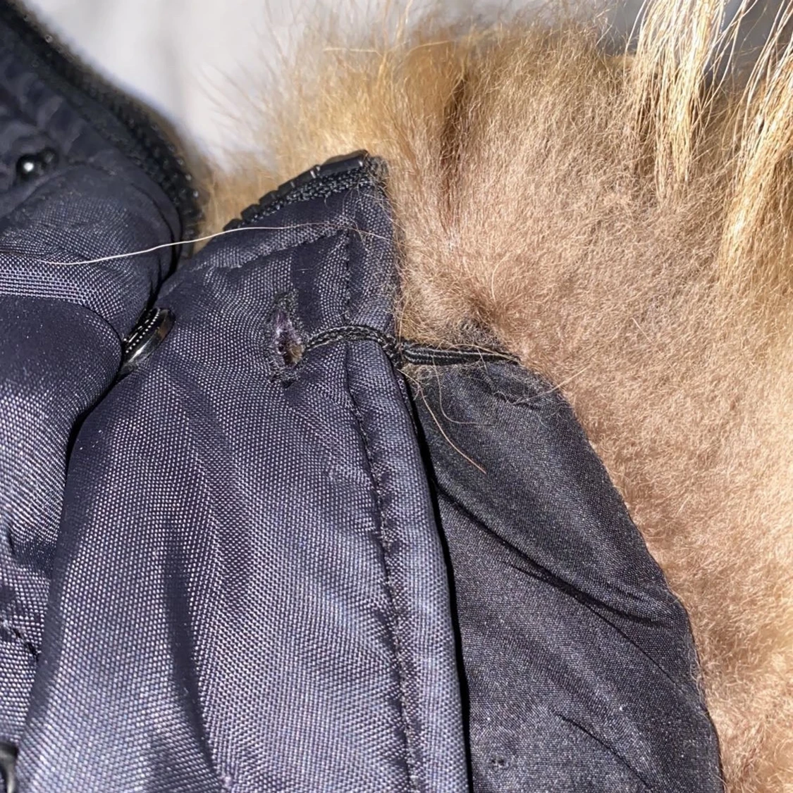 Hollies jacka stl 36 - 91