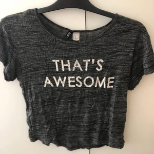 Grå t-shirt - Kort grå t-shirt med text (texten är sprucken men resten är i bra kvalitet)