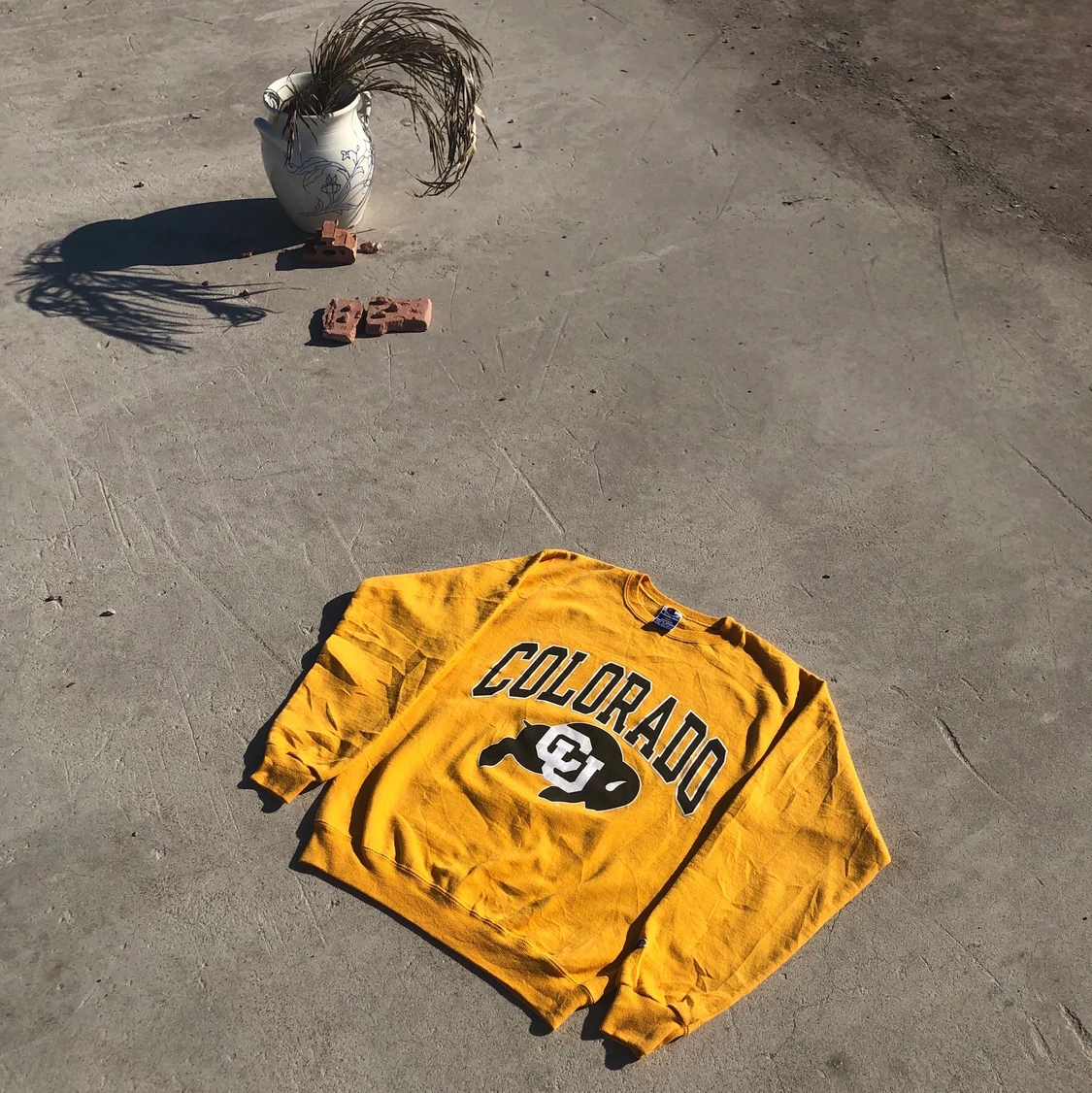 CHAMPION SWEATSHIRT!! 🦬💛 - 90