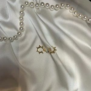 Örhängen  - Guld örhängen med nitar 19kr + 12kr i frakt 