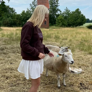 Brun sweatshirt från shein  - Brun tröja från shein som endast är använd 2 ggr! Säljer då den inte kommer till användning :( den är i typ fleece material så den är superskön🤍 Nypris: 160 kr  