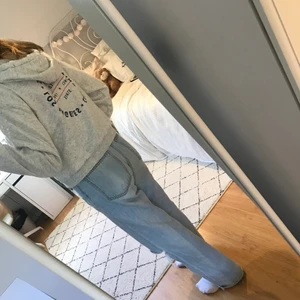 Hoodie - Mysig hoodie med stort tryck bak på ryggen. Grå med mjuk insida. Den är mysig att ha på hösten och den är väldigt snygg. Den är i bra skick och mycket väl omhändertagen