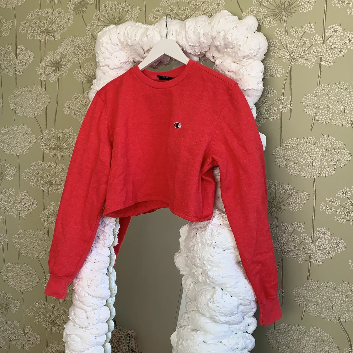 cropped champion hoodie