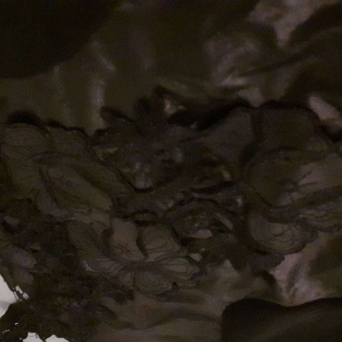 M. Svart knähöjdsklänning.  - 91