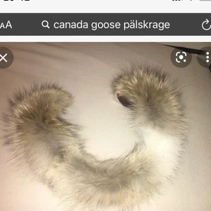  Canada goose pälskrage - (INTE MIN BILD) säljer en canada goose pälskrage som jag inte har till för användning. Kan gå ner i pris vid snabb affär. Skriv om du vill ha bild på den 