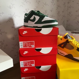 Dunk low Michigan state  - Dunk low Michigan state, finns i storlekar 43,43,46 alla paren är helt nya, 2500kr + frakt per par✌🏽🌟