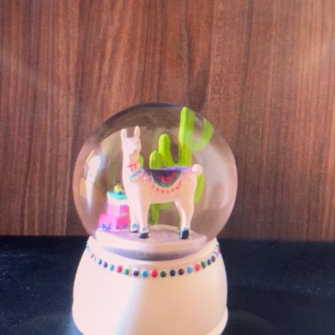 Glaskula kaktus 🌵 paket 📦 åsna  - 91