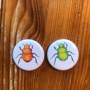 Handmålade skalbagge pins - Skalbaggepins handmålade av mig. Finns i orange och grön. Skalbaggen heter gilbert. 