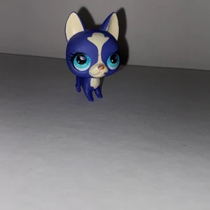 Little Pet shop - Säljer mina gamla Pet shops. De har gått upp i värde eftersom att de inte går att få tag på längre. Men jag har valt att sälja dessa för 15 kr st. Hör av dig privat om du är intresserad 💕 Köparen står för frakten, den blir olika beroende på hur många du köper🤩